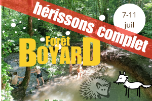 Boyard