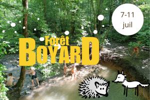 Boyard