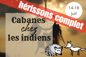 cabane indiens
