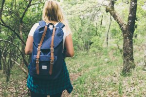 image backpack1836594_1920.jpg (0.6MB)