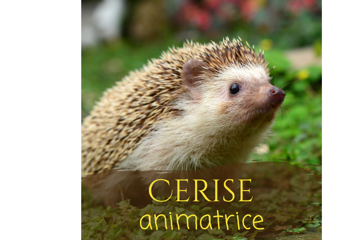 cerise