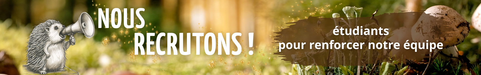 Lien vers: https://lebaluchon.be/?Job