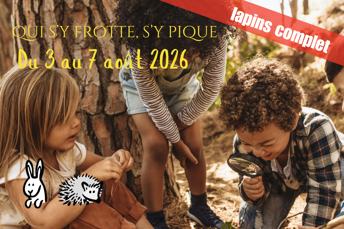 
Lien vers: https://lebaluchon.be/?Quisyf