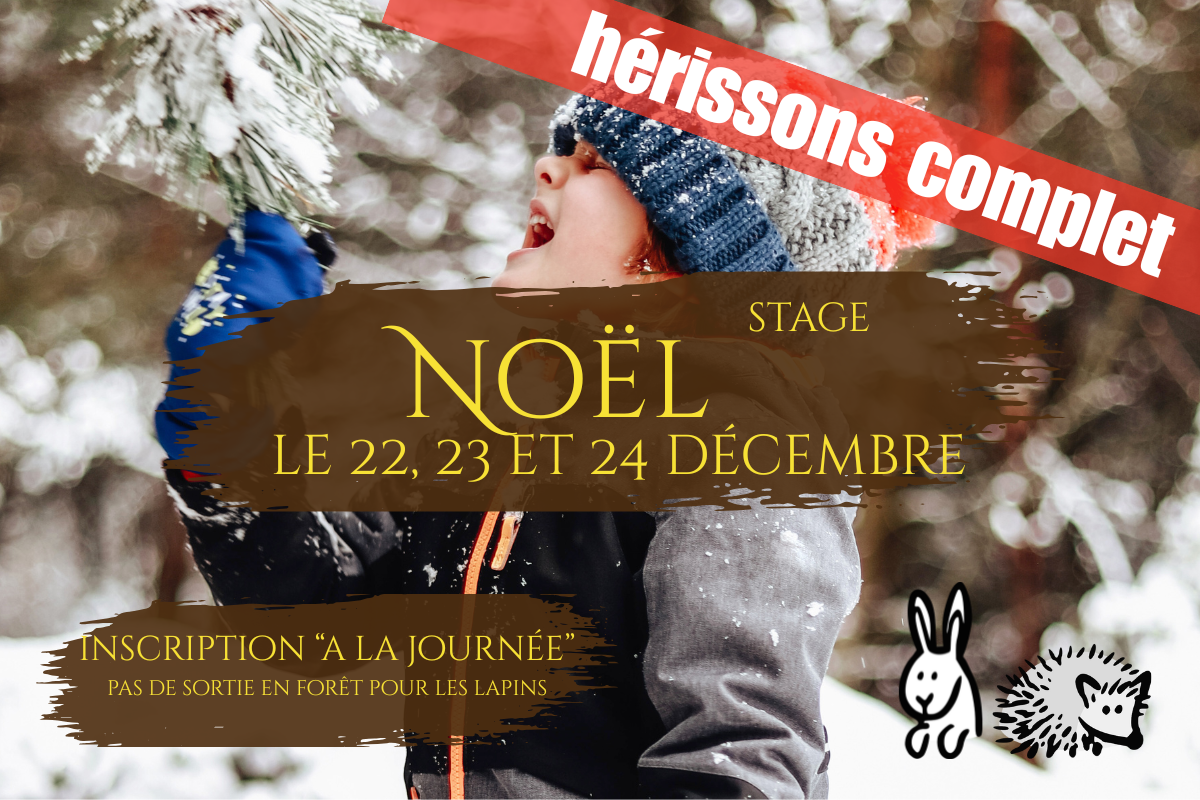 
Lien vers: https://lebaluchon.be/?Noel