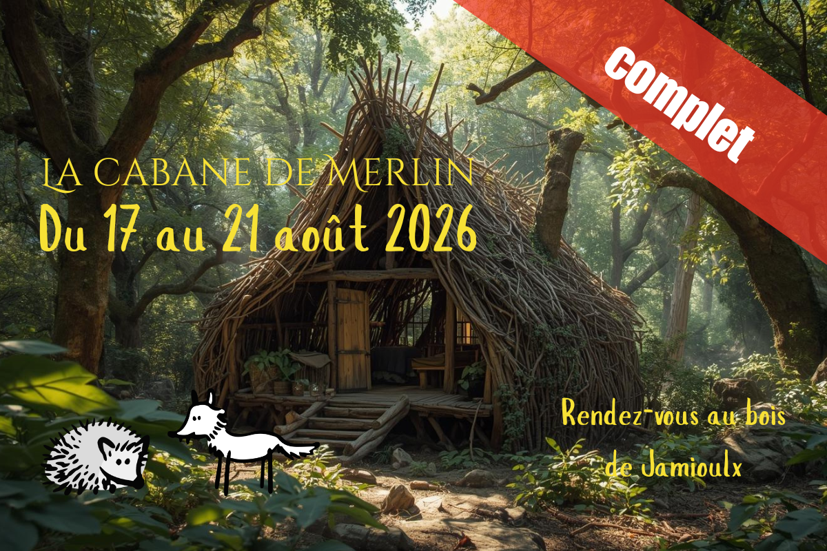 
Lien vers: https://lebaluchon.be/?CabaneMerlin