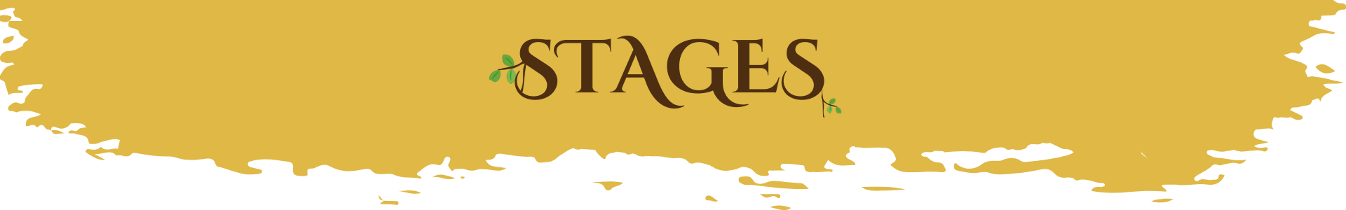 stages